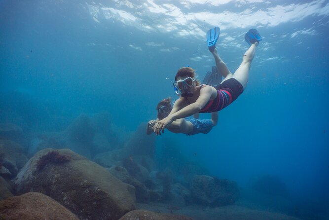 Funchal: Snorkeling Adventure in Eco-Park / Shore or by Boat - Key highlights at a glance