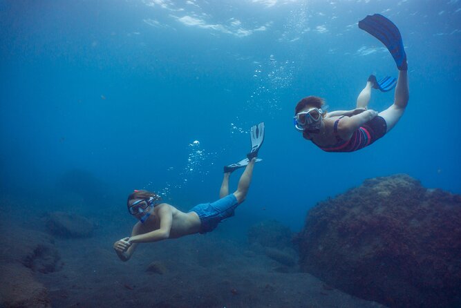 Funchal: Snorkeling Adventure in Eco-Park / Shore or by Boat - Before You Swim: The Lesson, Safety Briefing, and Gear Fit