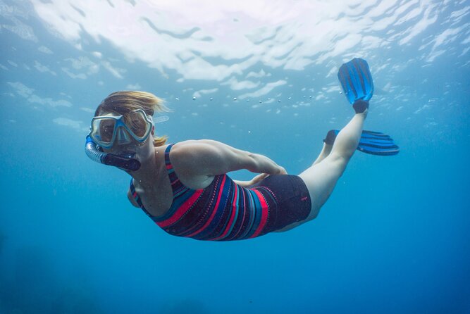 Funchal: Snorkeling Adventure in Eco-Park / Shore or by Boat - Views From the Water: Madeira’s Cliffs Look Different in Motion