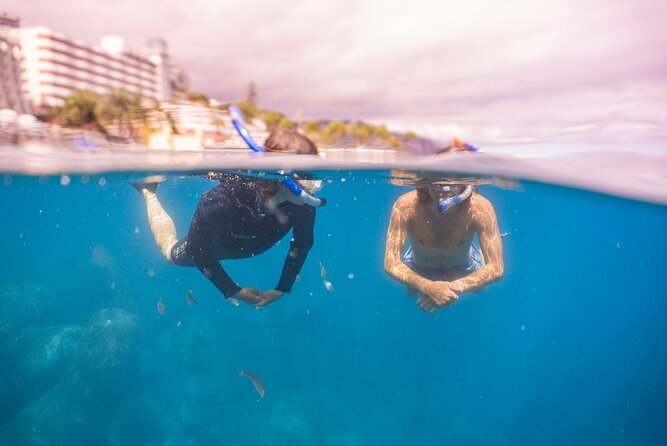 Funchal: Snorkeling Adventure in Eco-Park / Shore or by Boat - Practical Packing List: Swimwear, Towel, and a Change of Clothes