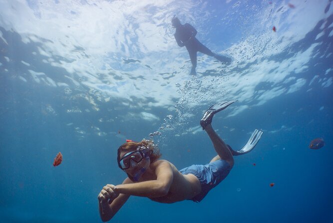 Funchal: Snorkeling Adventure in Eco-Park / Shore or by Boat - Two Options in Funchal: House-Reef Self-Guided vs Protected Reserve Boat Trip