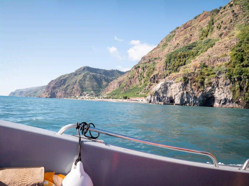 Funchal: Speedboat SEE THE ISLAND AND LIFE AT SEA - Should you book this Funchal speedboat tour?