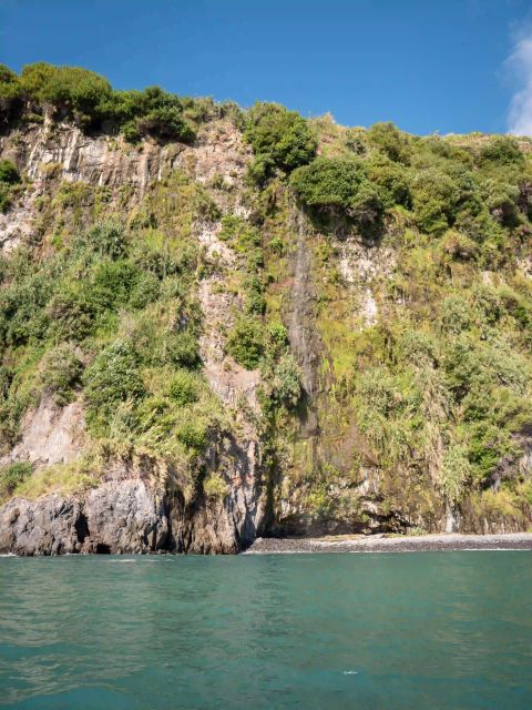 Funchal: Speedboat SEE THE ISLAND AND LIFE AT SEA - The mid-tour water plunge: what it is and what to pack