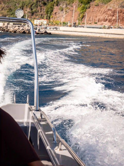 Funchal: Speedboat SEE THE ISLAND AND LIFE AT SEA - Price and value: does $41 make sense for this ride?