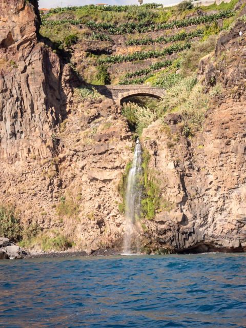 Funchal: Speedboat SEE THE ISLAND AND LIFE AT SEA - What could go wrong, and how you reduce the risk fast
