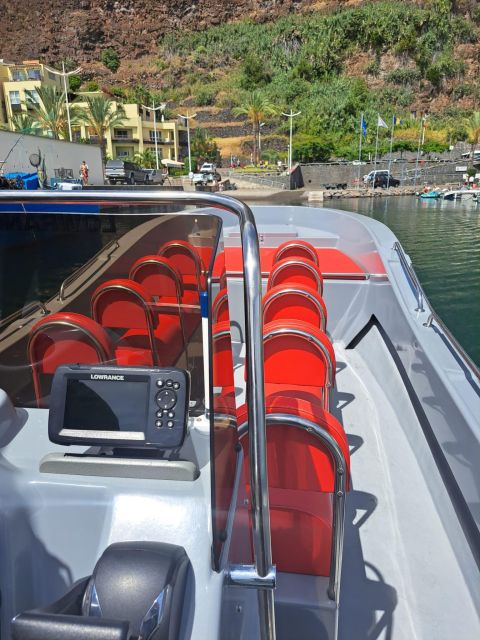 Funchal: Speedboat SEE THE ISLAND AND LIFE AT SEA - Who should book this Madeira speedboat trip