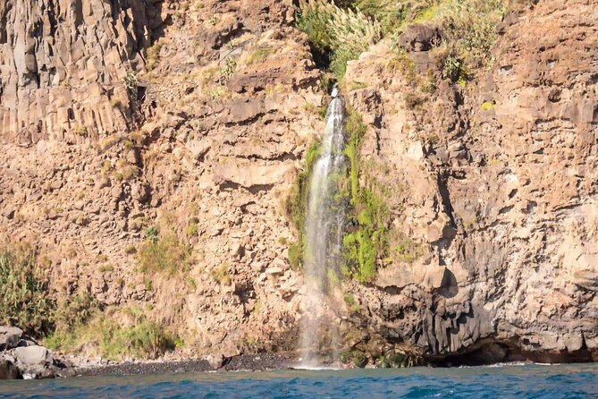 Funchal: Speedboat tour- SEE THE ISLAND AND LIFE AT SEA - The swim stop: snorkeling gear, life jacket, and a real water break