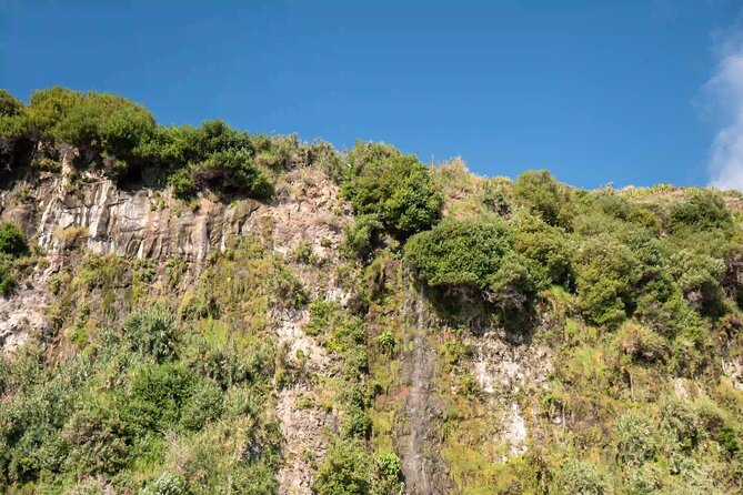 Funchal: Speedboat tour- SEE THE ISLAND AND LIFE AT SEA - Water and candy: the small onboard extras that matter