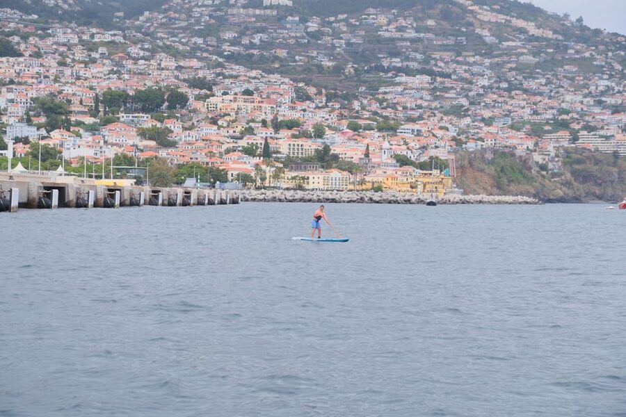 Funchal: Standup Paddle - The 1-Hour Paddleboarding Plan (Quick Safety, Then Freedom)