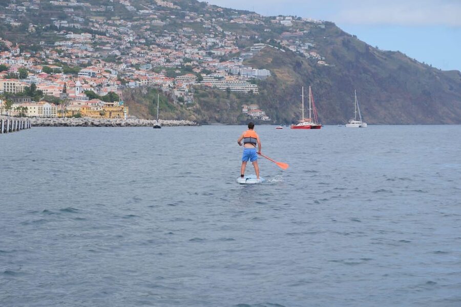 Funchal: Standup Paddle - Getting the Views: Calm Water, Madeira’s Coast, and Marine Life