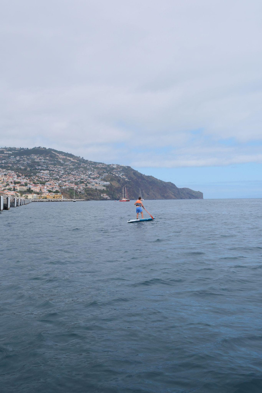 Funchal: Standup Paddle - Price and Value: Is $35 Fair for This 1-Hour Session?