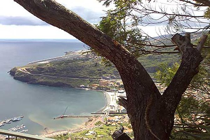 Funchal : Sunday Market - South East Tour - Santa Cruz Municipal Market Hall: fish, fruit, and a local stop you can use