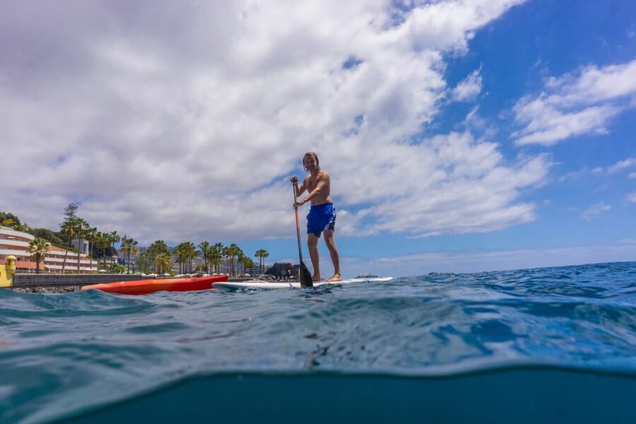 Funchal: SUP Rental or Guided tour with snorkeling - Finding Madeira Divepoint Inside Pestana Carlton (Sea-Level Access)