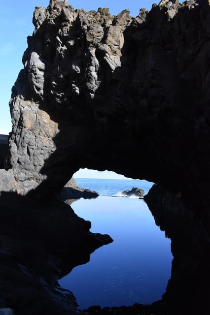 Funchal: Waterfalls, Volcanic Pools, and Fanal Forest Tour - Fanal Forest: Laurissilva trees and a mist-friendly photo pause