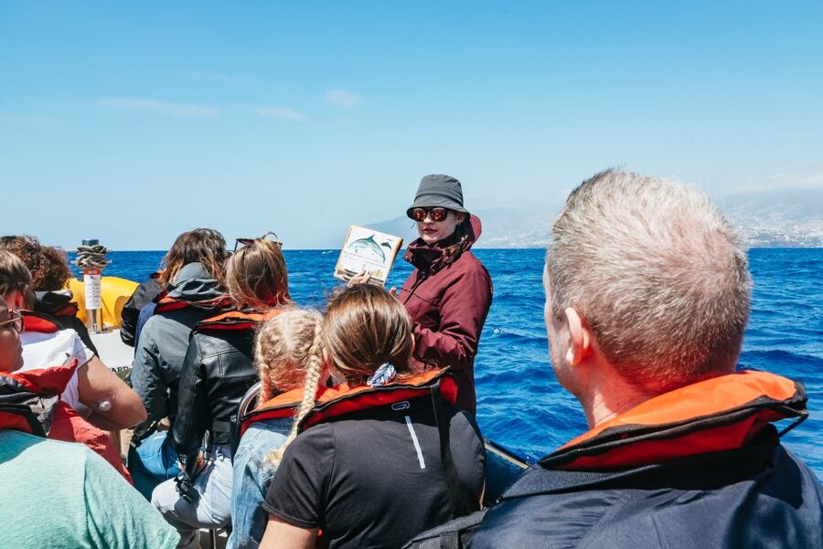 Funchal: Whale and Dolphin Watching Speed Boat Tour - Ventura Nature Emotions speedboat start at Funchal Marina, Pier 8