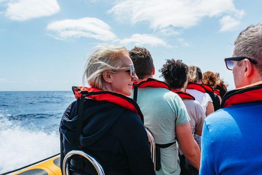 Funchal: Whale and Dolphin Watching Speed Boat Tour - Speedboat style: why this setup beats bigger boats for cetaceans