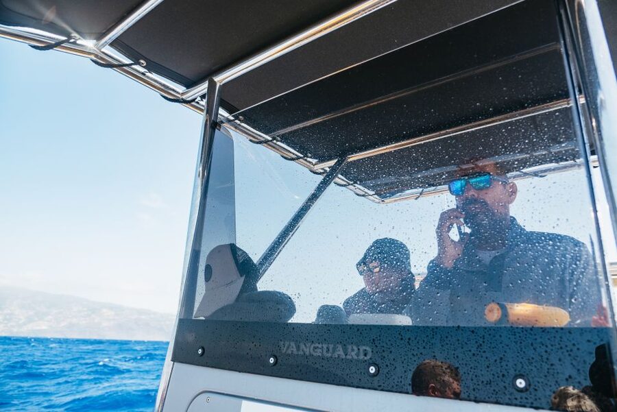 Funchal: Whale and Dolphin Watching Speed Boat Tour - What makes the ride feel safe and manageable