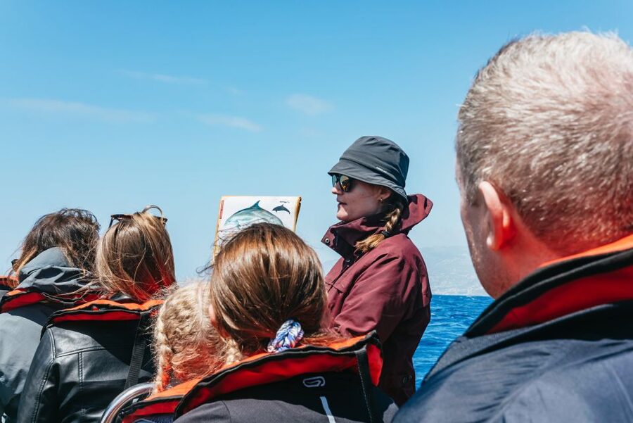 Funchal: Whale and Dolphin Watching Speed Boat Tour - What to bring for a Madeira speedboat day
