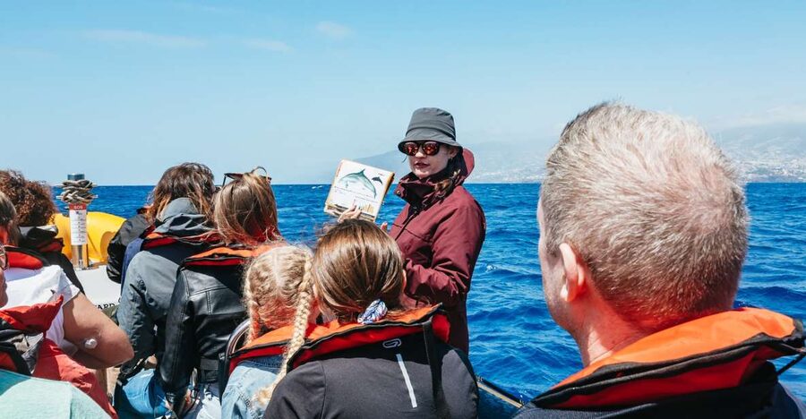 Funchal: Whale and Dolphin Watching Speed Boat Tour - The 2.5-hour whale and dolphin search along Madeira’s coastline