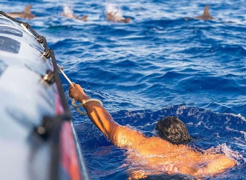 Funchal: Whale Watching and Swimming with Dolphins Cruise - Key things that make this cruise worth your time