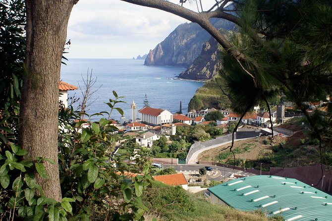 Go North Tour - Madeira Island Excursion - Why This Go North Madeira Drive Feels Worth It