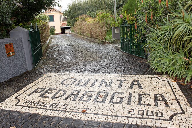 Go South Tour - Madeira Island Excursion - A South Coast Day From Funchal to Ponta do Pargo