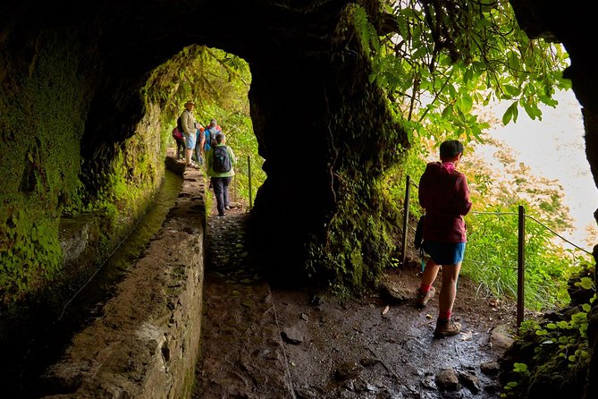 Green Cauldron - Meeting in Funchal, and what “pickup offered” changes for you