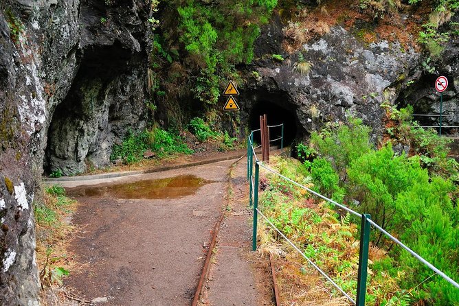 Green Cauldron - Stop 2: Caldeirão Verde, levadas, tunnels, and the lagoon view