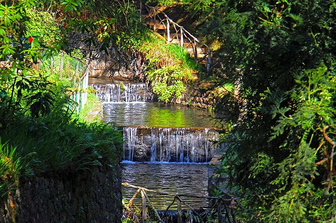 Green Cauldron - Stop 1: Parque Florestal das Queimadas to Green Cauldron waterfall