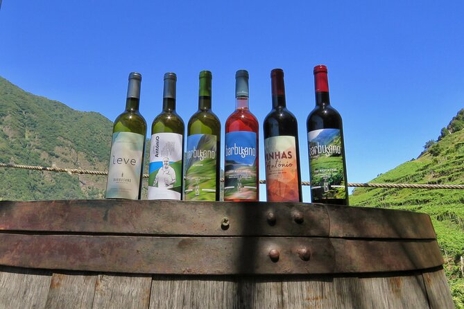Guided 4x4 Adventure and Skywalk with Wine and Tapas in Madeira - Key highlights you should know before you go
