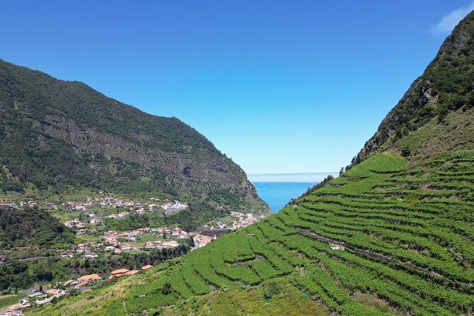 Guided 4x4 Adventure and Skywalk with Wine and Tapas in Madeira - Quinta do Barbusano: wine and tapas, with an add-on price you should calculate early