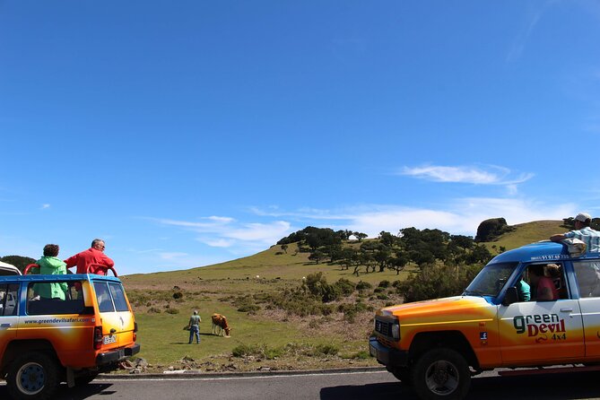 Guided Exploration of Southwest Madeira in a 4x4 - Stop 1: Campanário and Ribeira Brava start the day easy