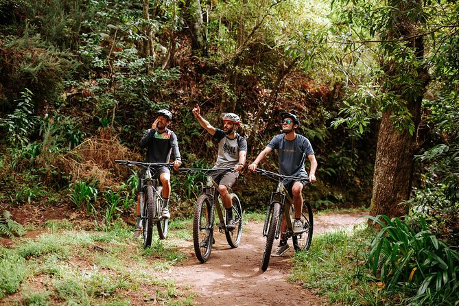 Guided Tour Electric Mountain Bike Experience - Highlights You Should Know Before Booking