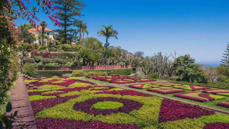 Guided Tuk-Tuk Tour to Botanical Garden (From Funchal) - Key points to know before you go