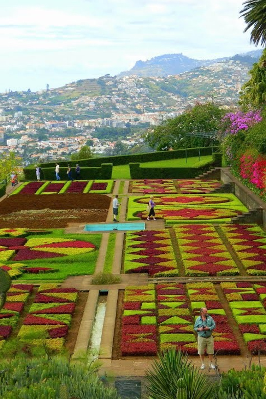 Guided Tuk-Tuk Tour to Botanical Garden (From Funchal) - From Avenida do Mar to the Botanical Garden in one hour