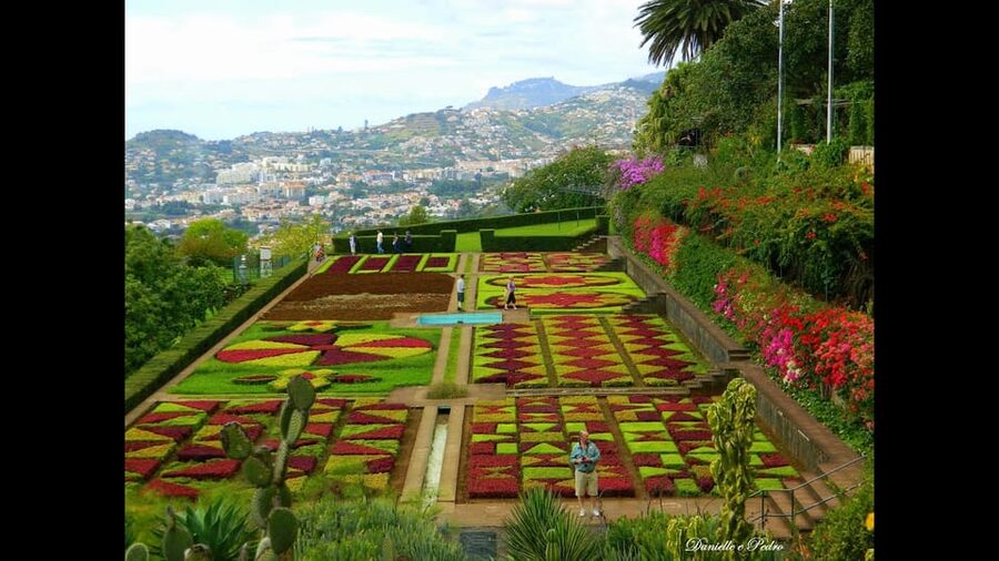 Guided Tuk-Tuk Tour to Botanical Garden (From Funchal) - What the ride feels like, and why the guide matters