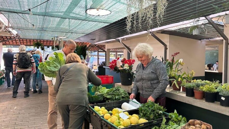 Half-Day Country Market Tour on Madeira Island - Santa Cruz market and the sea-breeze promenade