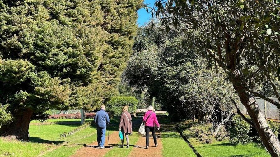 Half-Day Country Market Tour on Madeira Island - Quinta do Santo da Serra, gardens you can actually slow down in