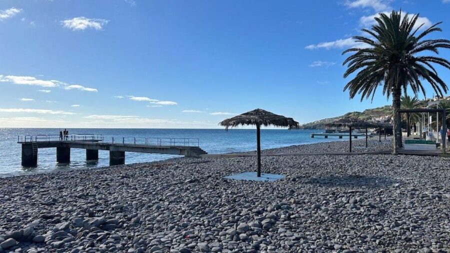 Half-Day Country Market Tour on Madeira Island - Santo da Serra agricultural market, where the eating starts