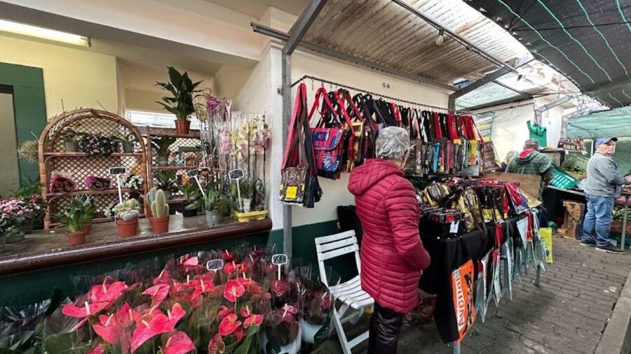 Half-Day Country Market Tour on Madeira Island - The winding roads to Cristo Rei at Ponta do Garajau
