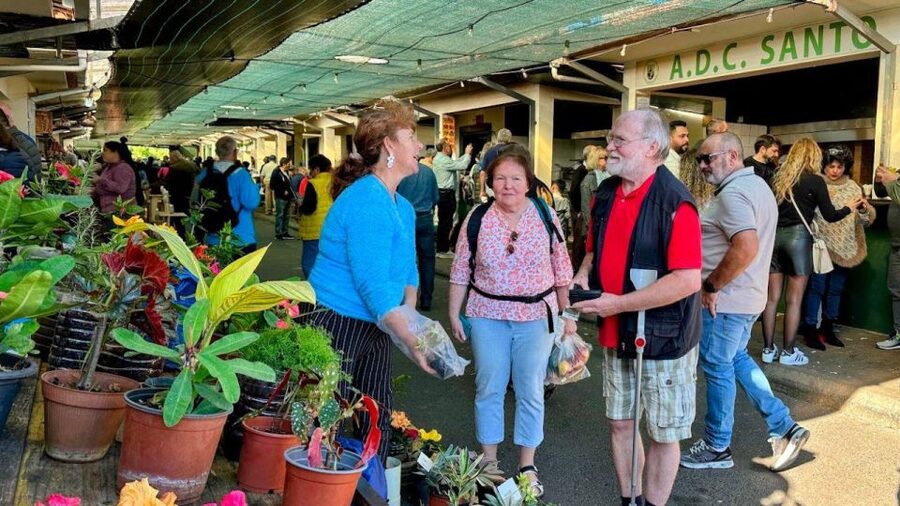Half-Day Country Market Tour on Madeira Island - Who this tour fits best, and who should reconsider