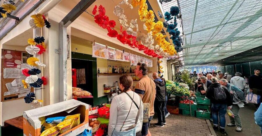 Half-Day Country Market Tour on Madeira Island - Pickup and coach timing, what it means for your day