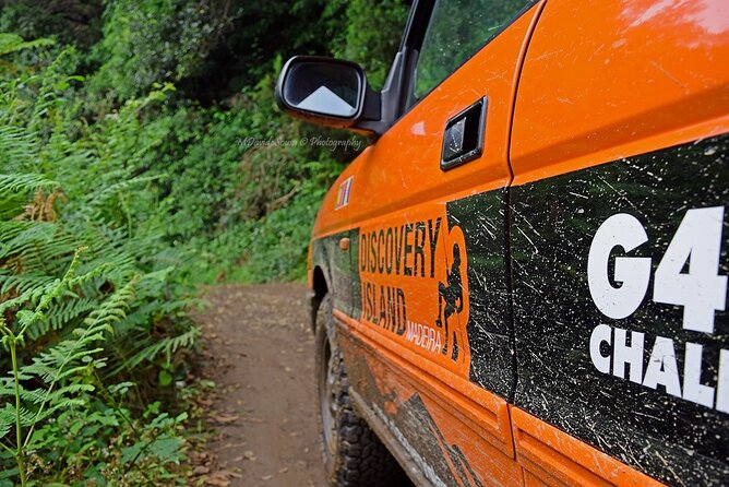 Half Day Jeep Safari Tour at Pico Areeiro and Santo da Serra - Pico do Facho and Machico: ship-spotting history with ocean views
