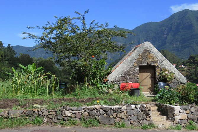 Half day jeep Wine tour and tasting, & sea cliff adventure - Ribeira Brava, Meia Légua, Serra de Água: quick history, quick time