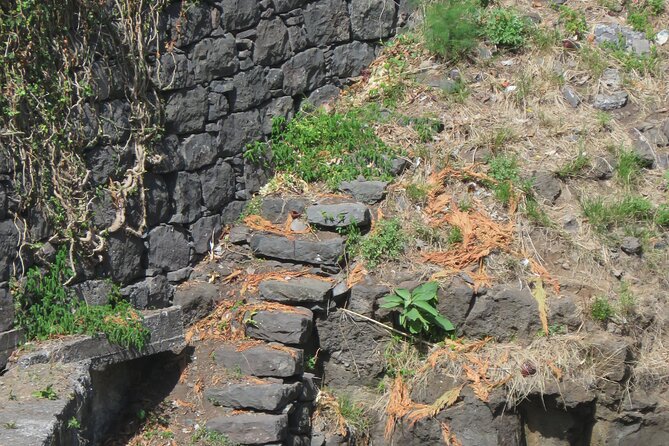Half day jeep Wine tour and tasting, & sea cliff adventure - São Vicente and the route passing points: don’t expect equal time