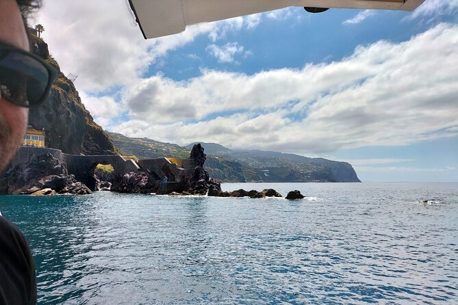 Half Day Madeira Island Cruise with Lunch - Wildlife Off Madeira, Dolphins, Whales, and Sea Turtle Chances