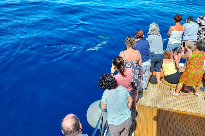 Half Day Madeira Island Cruise with Lunch - The Cruise Route and What You’ll See From the Water