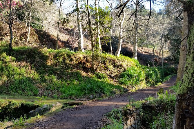 Half-Day Paradise Valley Walking Tour - Vale do Paraíso to Rochão, an easy Madeira escape