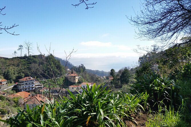 Half-Day Paradise Valley Walking Tour - Starting at Vale do Paraíso: your first Camacha views