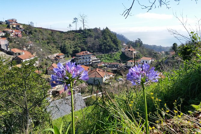 Half-Day Paradise Valley Walking Tour - Cultivated terraces, fauna and flora, agriculture talk